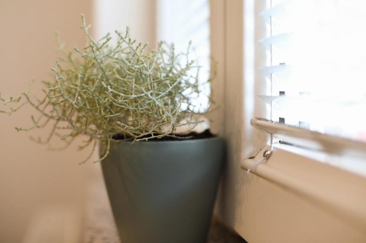 Apartment Igor Lukavica Dış mekan fotoğraf